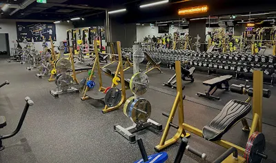 XPower - Gym & Fitness